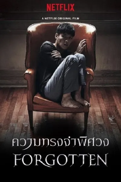 ความทรงจำพิศวง