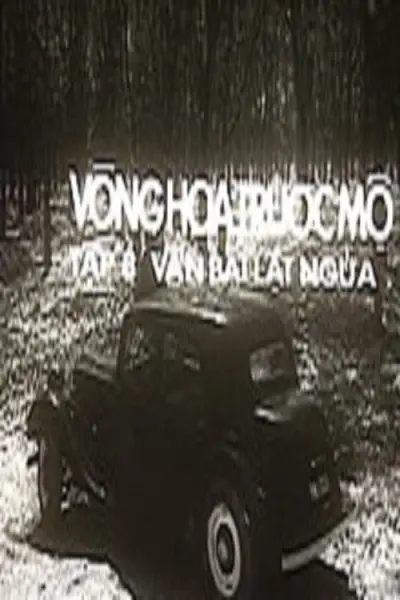 ม.8